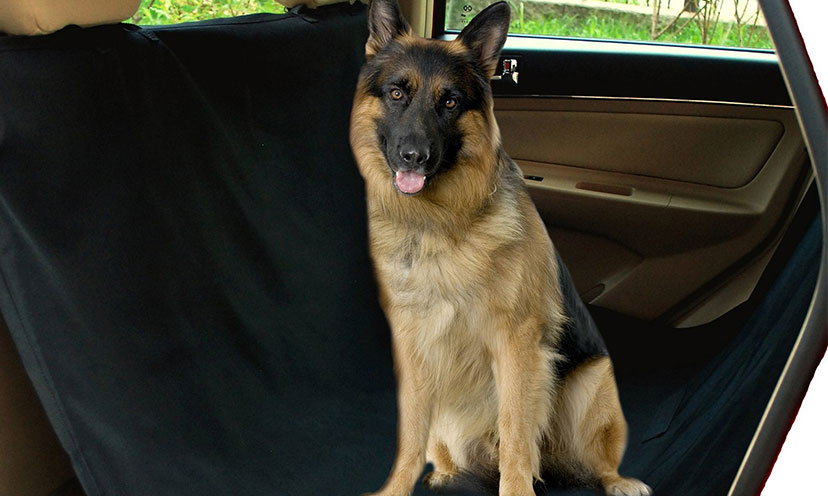 Save 48% off on a NAC & ZAC Deluxe Waterproof Pet Seat Cover!