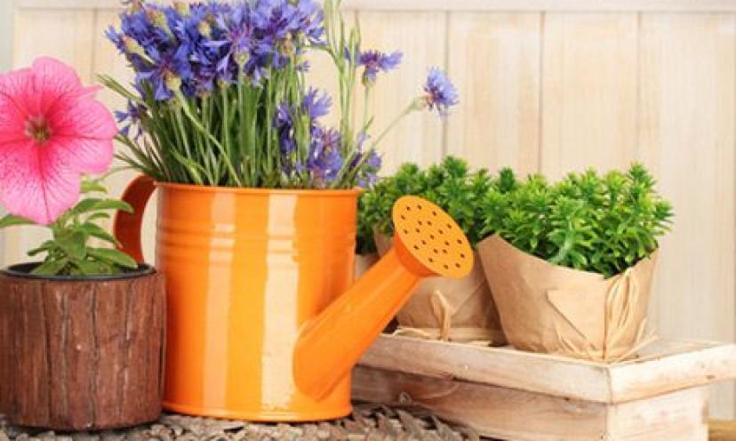 4 Ways to Save on Your Gardening!