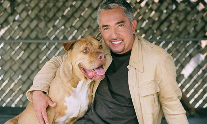 Win a Dog Vacation to Los Angeles with Cesar Millan!