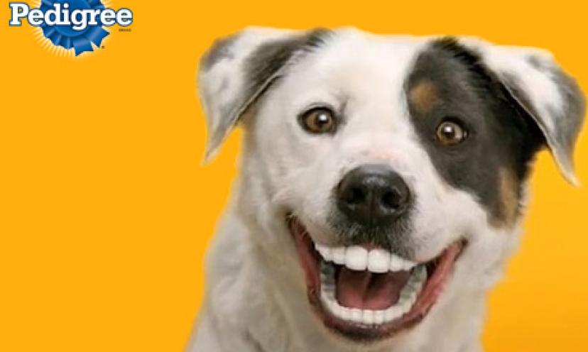 Save 48% On a Large Bag of Pedigree Dentastix Oral Care Treats {For Dogs}!