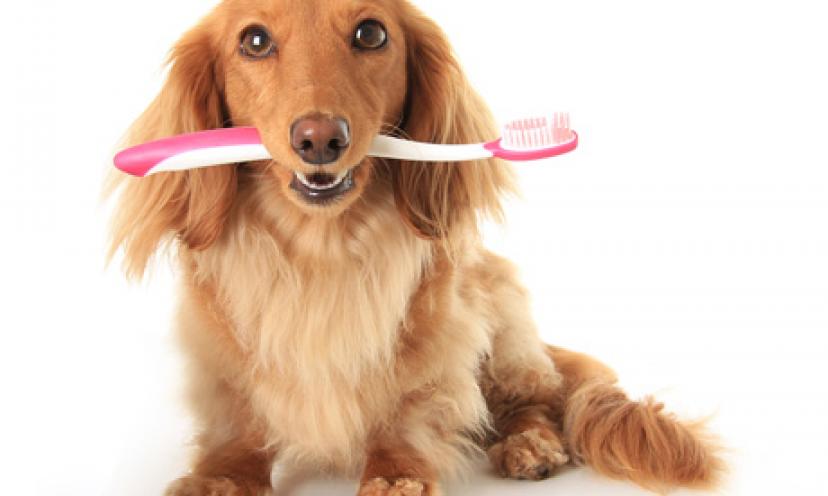 Get a FREE Dog Dental Kit From K9 Pearly Whites!