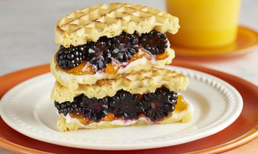 A Berry Sweet Prize Indeed! Win a Breville Panini Press & Grill and a Year’s Supply of Berries!