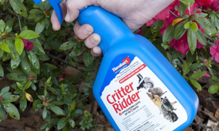 Keep Animals Away with Havahart Critter Ridder Animal Repellent for 23% Off!