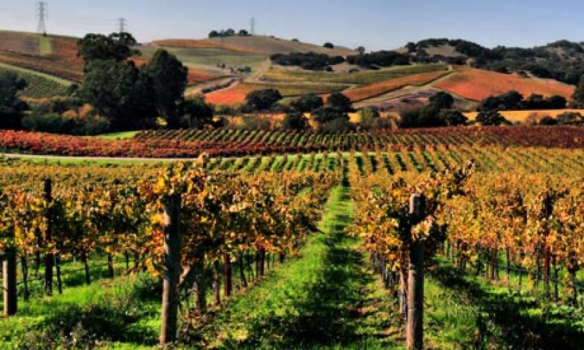 Win The Ultimate Napa Valley, Calif. VIP Experience!