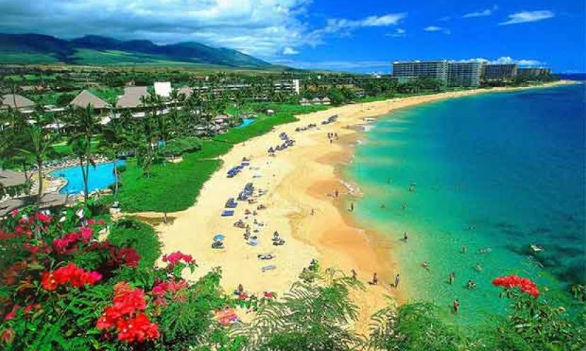 Win a Trip to Maui!