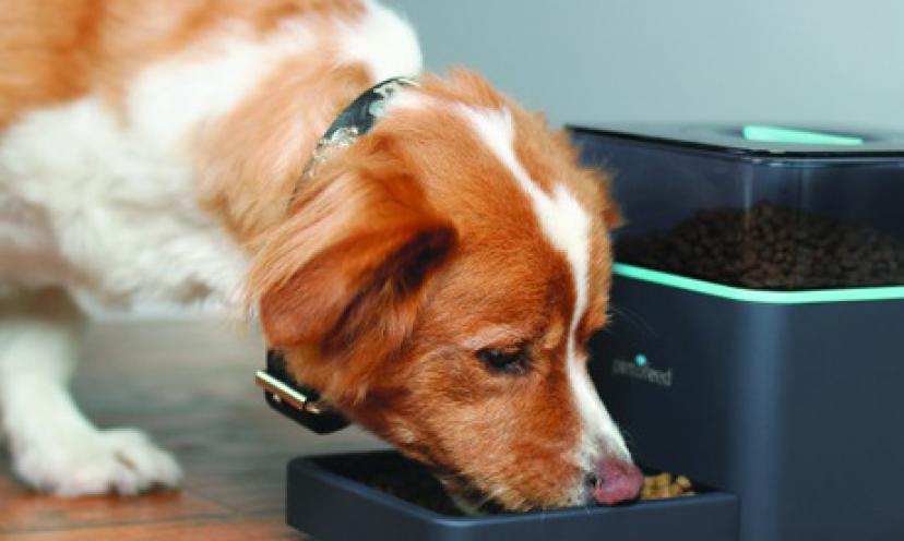 Enjoy 49% Off a Large Automatic Pet Feeder with LCD Display!