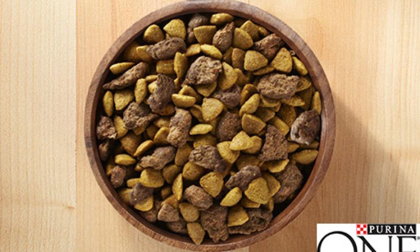 Give Your Dog the Nutrients They Need with a Free Sample of Purina One SmartBlend