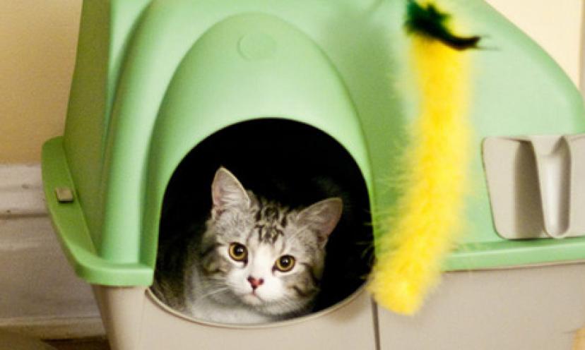 Save 38% On the PetSafe Simply Clean Continuous-Clean Litter Box!