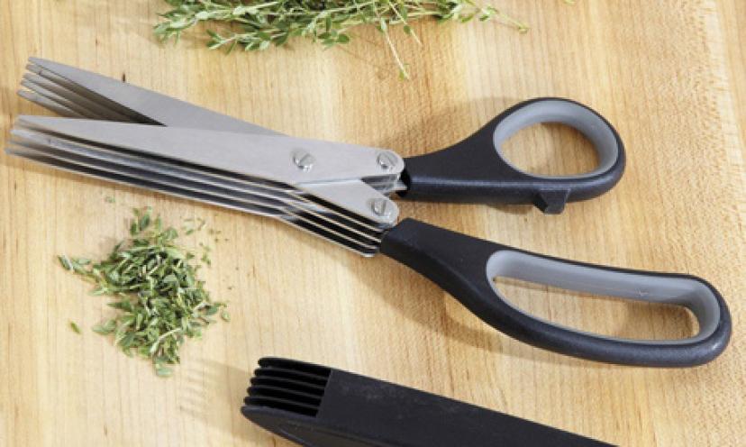Save 43% On A Pair Of Wusthof Multi-Blade Herb Shears!