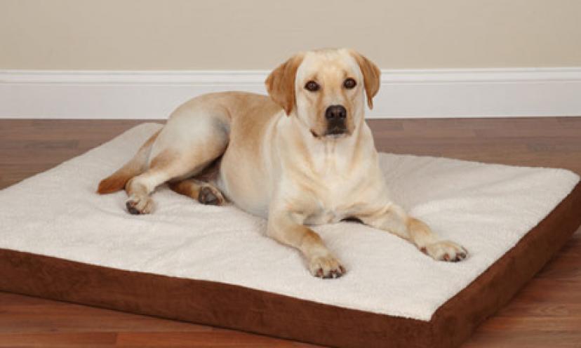 Save 45% On a Slumber Pet Water-Resistant Dog Bed!