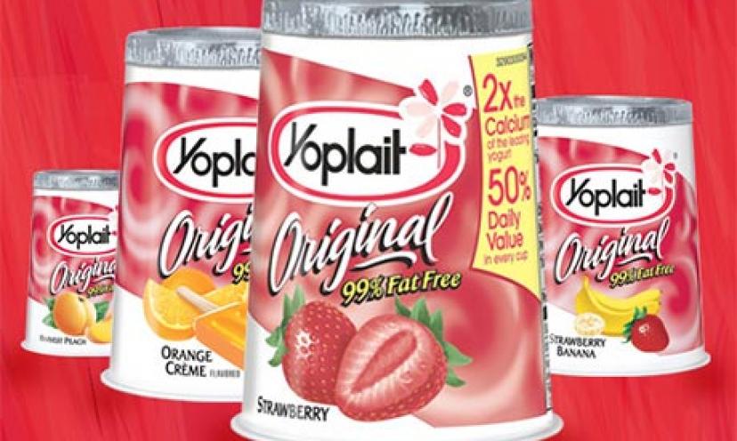 Save $0.40 off any 6 Yoplait Yogurts!