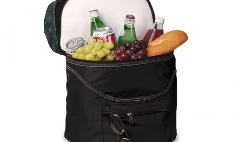 Enjoy 37% Off The Picnic Time Zuma Insulated Cooler Backpack!