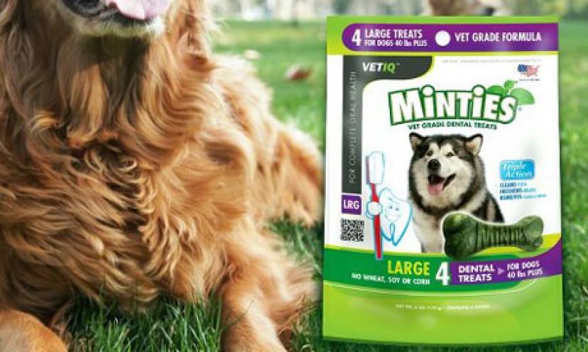Get a FREE Sample of Minties Treats For Dogs!