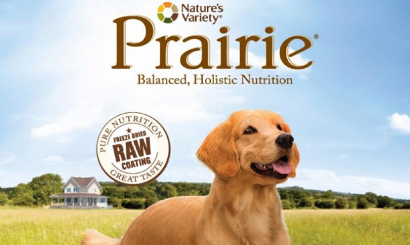 Give Your Pet a Holistic Treat With a FREE Sample of Prairie Dog Food!