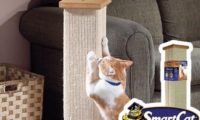 Enjoy 56% Off the SmartCat Ultimate Scratching Post!