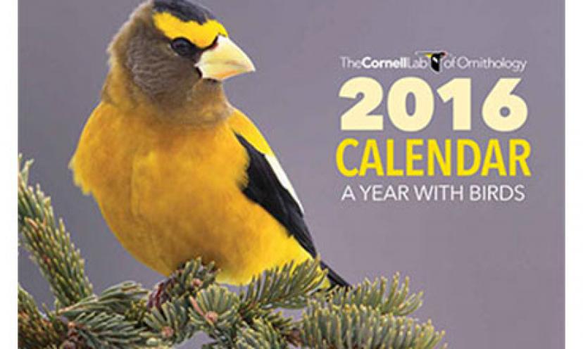 Get a FREE 2016 Bird Calendar!
