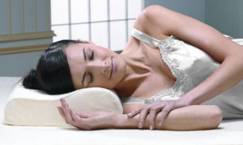 Save 72% Off a Sleep Innovations Contour Memory Foam Pillow!