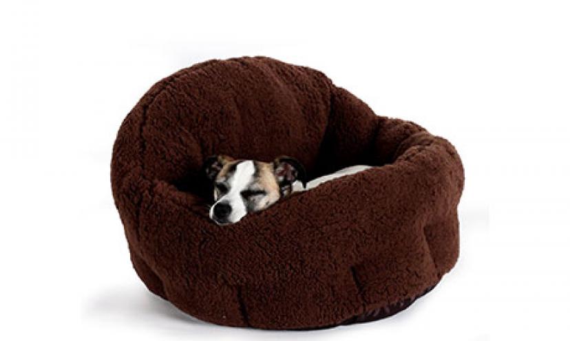Save 36% Off The Deep Dish Cuddler Dog Bed!