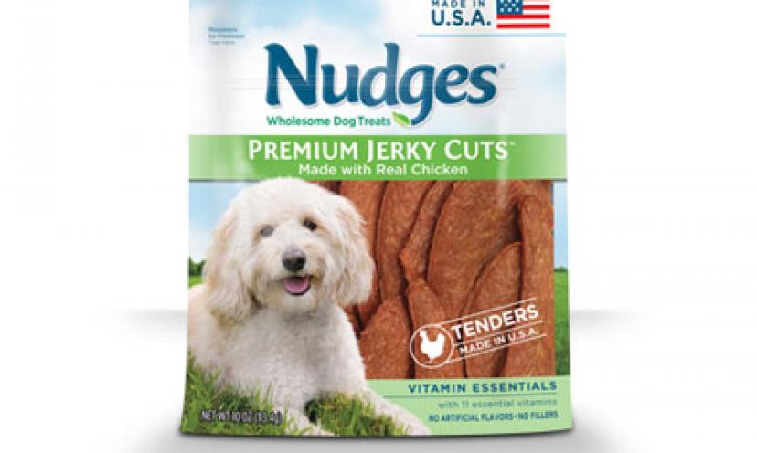 Get $1.50 Off 10 oz Bag of Nudges Dog Treats!