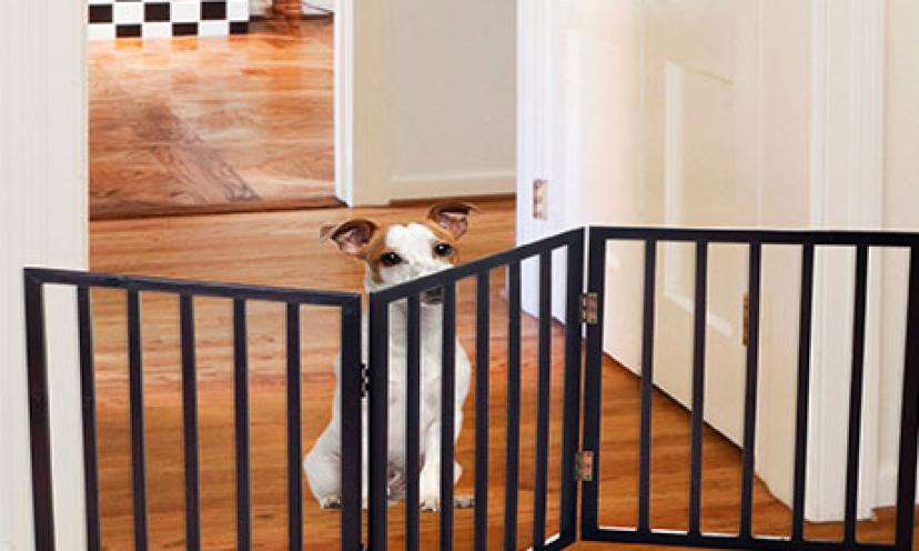 Get 51% Off PAW Easy Up Free Standing Folding Gate!