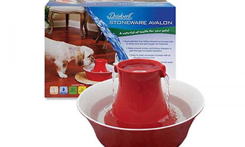 Save 37% Off The PetSafe Drinkwell Ceramic Avalon Fountain!