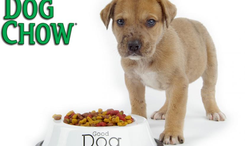 Buy 1 bag of Purina Dog Chow Dog Food, get 1 free