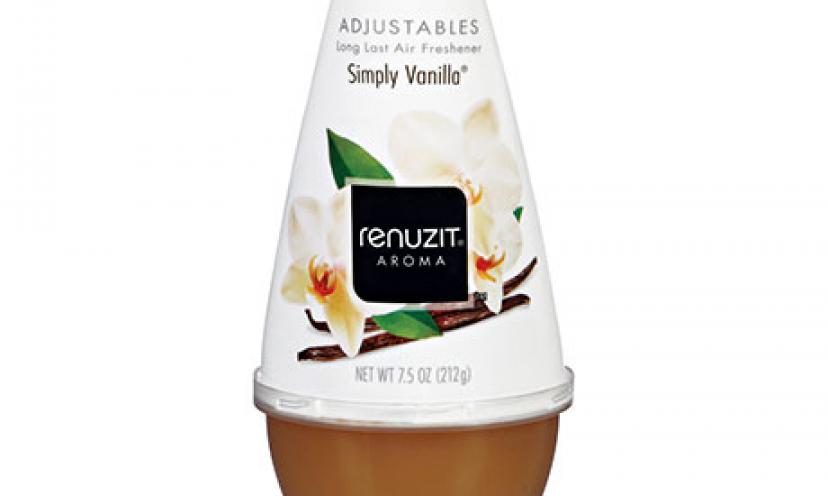 Buy 3 Renuzit Air Freshener Cones, Get 1 Free!