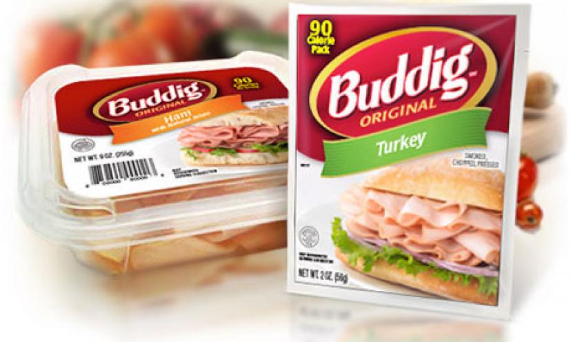 Get $1.00 Off Five Packages of Buddig Original!
