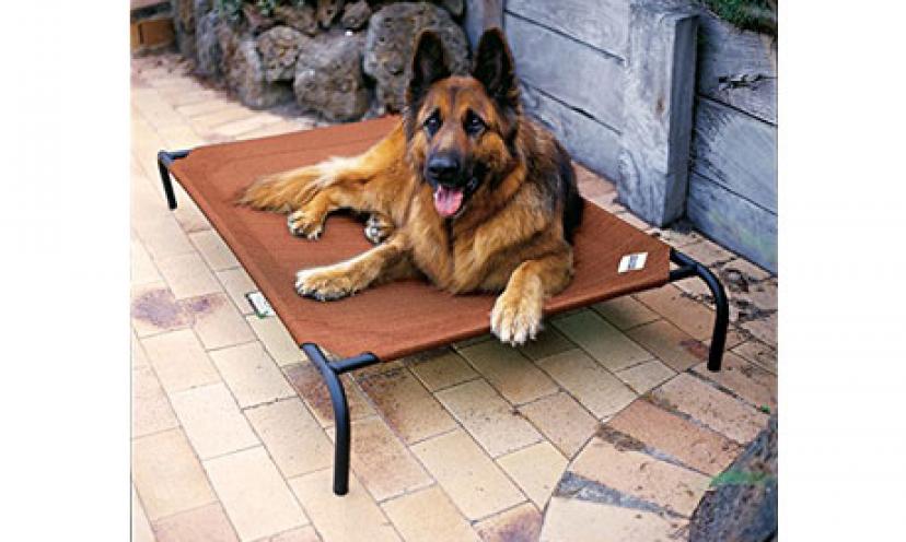 Treat your dog like royalty with the Coolaroo Elevated Pet Bed, now 50% off!