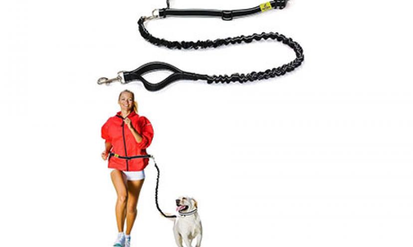 Save 70% on a Hertzko Hands Free Dog Leash!