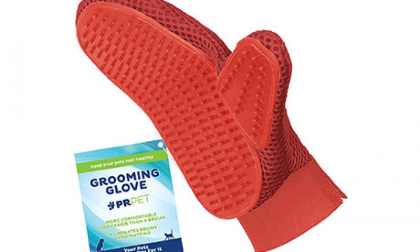 Save 50% on a Dog and Cat Grooming Glove!