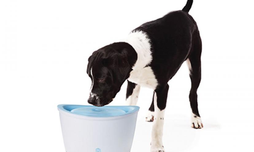 Enjoy 58% off on the Dogit Design Fresh and Clear Dog Drinking Fountain!