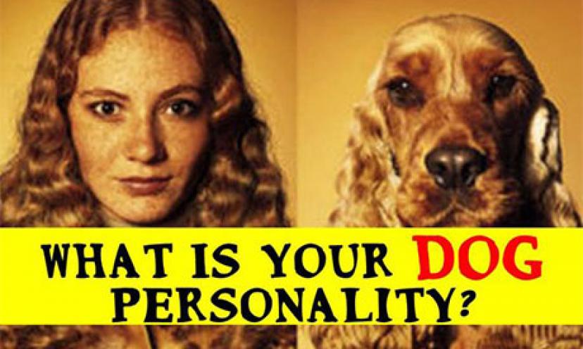 Woof! Want to Find Out What Your Dog Personality is? Take the Quiz!