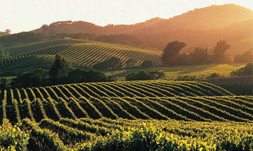 Enter to Win a Trip to Napa Valley!