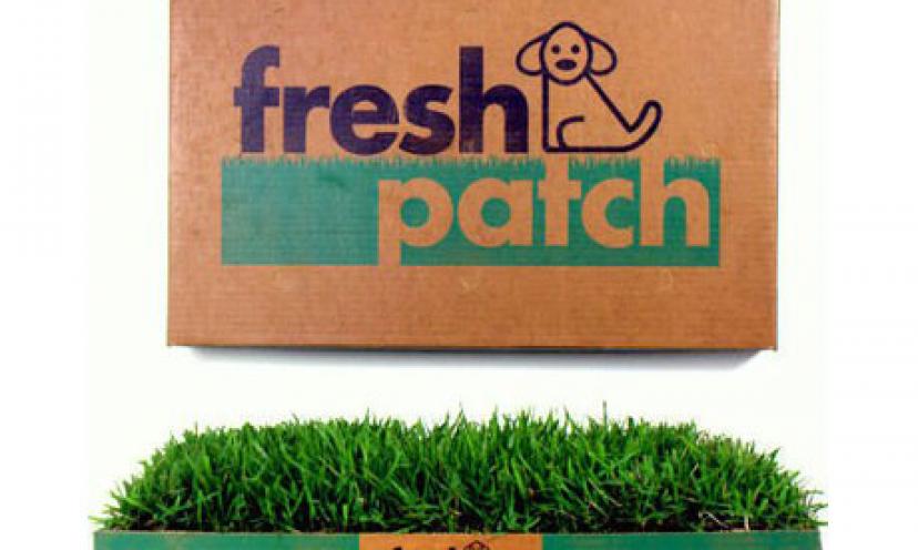 Save 21% on the Fresh Patch Disposable Dog Potty with REAL Grass!