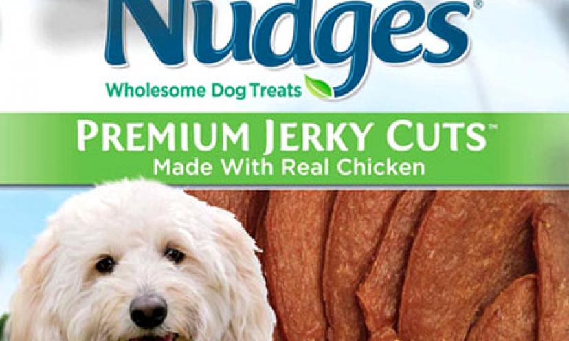 Buy Nudges Wholesome Dog Treats and Save!