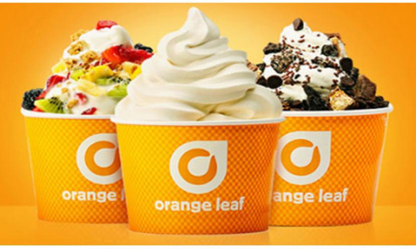 Free Frozen Yogurt For All Moms This Mother’s Day at Orange Leaf!