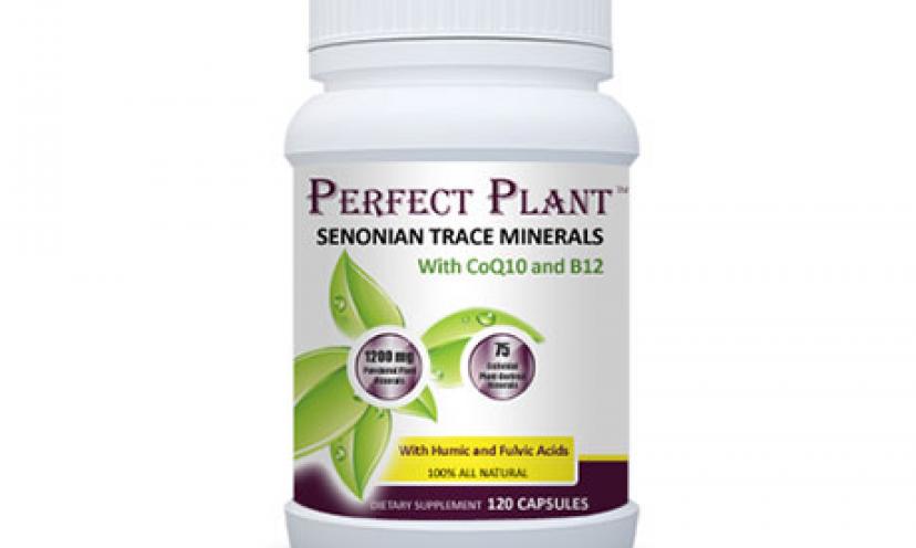 Get a FREE Sample of Perfect Plant Multivitamin!