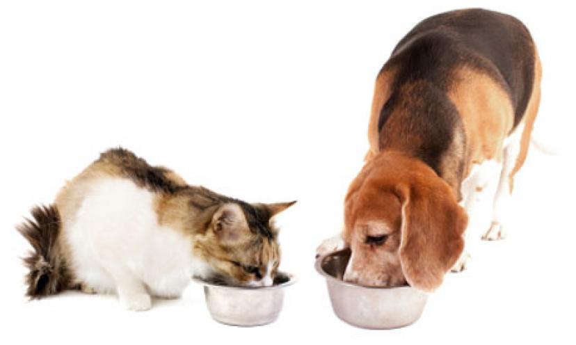 Treat Your Pet with a FREE 1/2 lb. Bag of Petcurean Dog or Cat Food!