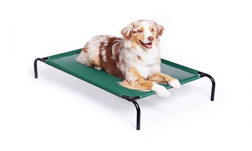 Save 20% Off An Elevated Cooling Bed For Your Pets!