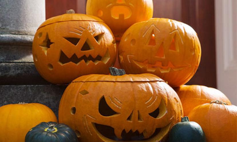 Get a FREE Fiora Spooktacular Pumpkin Carving Kit!