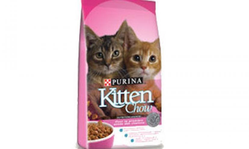 Get Your FREE Kitten Food and ID Tag!