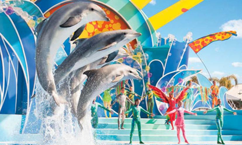 Win TWO Incredible Getaways: A Family Trip to SeaWorld AND the Macy’s Thanksgiving Day Parade!