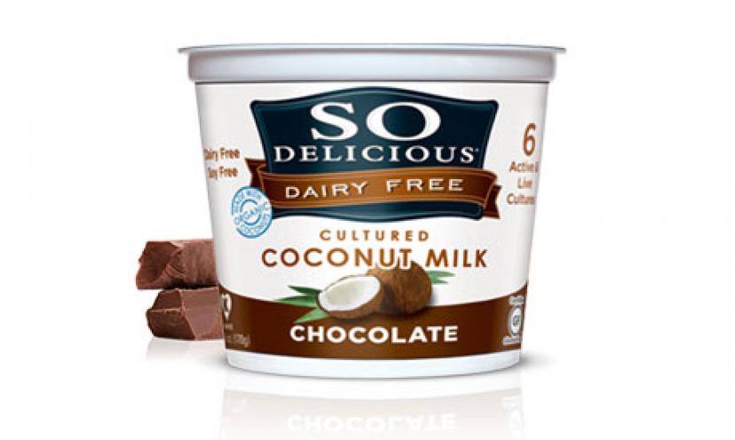 Get $1.00 Off One So Delicious Dairy Free Product!