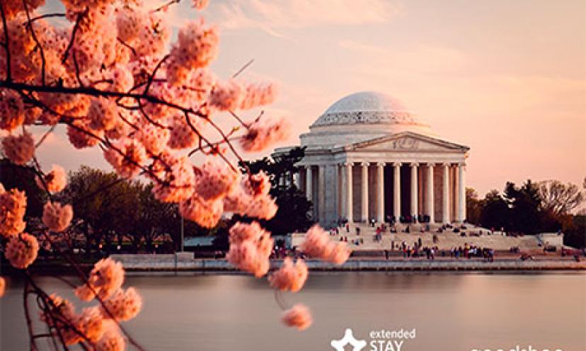 Enter to Win the Ultimate Trip to Washington, D.C!