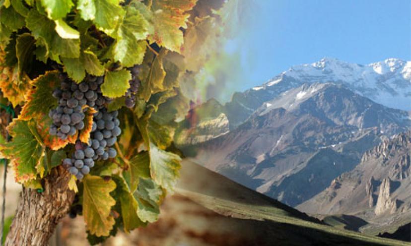 Enter for a Chance to Win a Wine Adventure in Argentina and Chile!