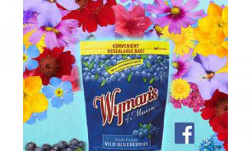 Get FREE Wildflower Seeds from Wyman’s of Maine!