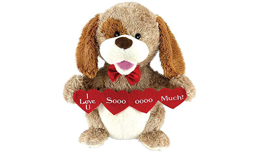 Save 29% off on an Animated Puppy Valentine!
