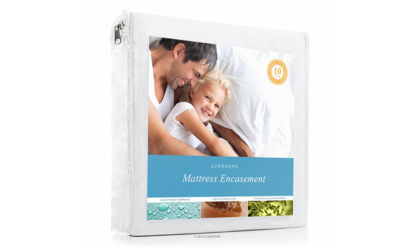 Save 75% Off On A Bed Bug Mattress Protector!