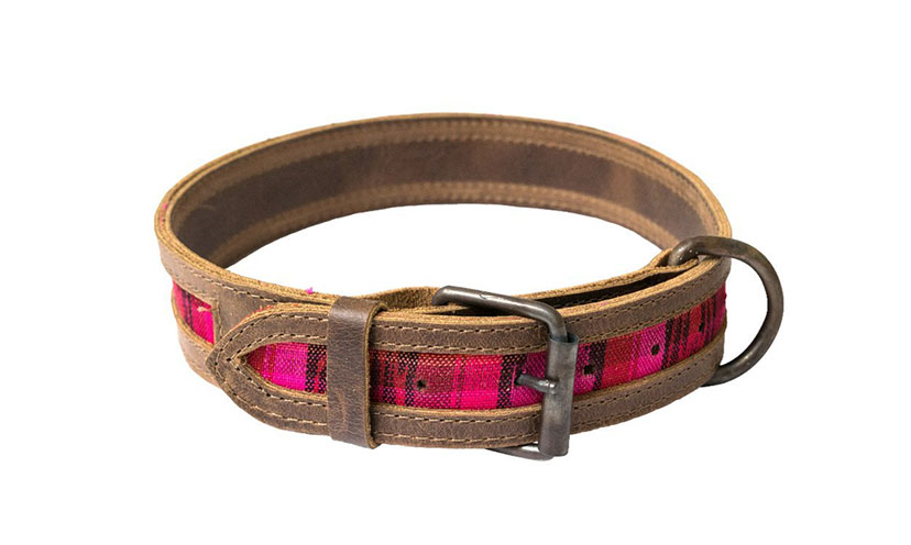 Save 28% off on a Hide & Drink Dog Collar!